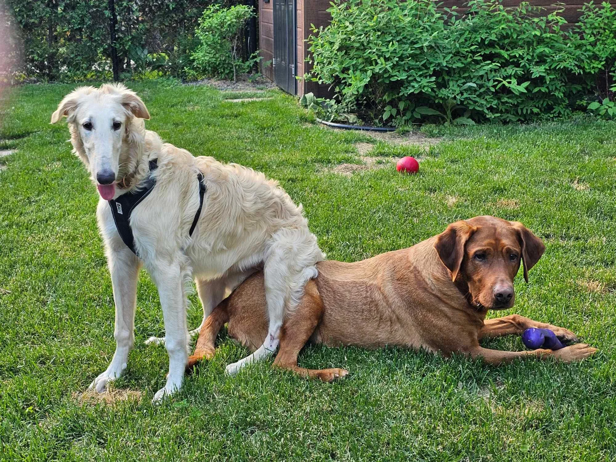 Pourquoi s’asseoir par terre