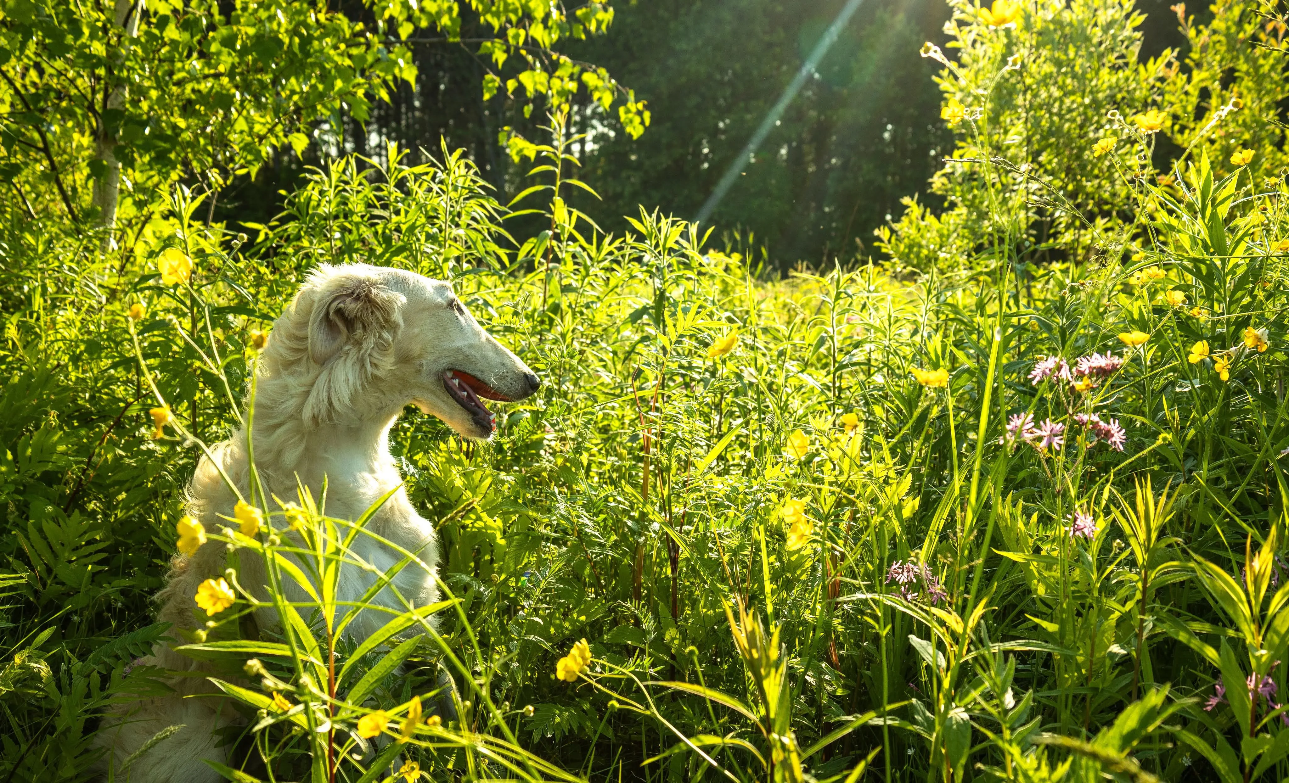 Petit moment ds les champs